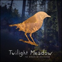 Twilight Meadow - The Worlds We Discovered