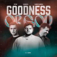 Gui Brazil - Goodness Of God (Remix)