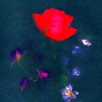 Aodhán King & Benjamin William Hastings - Hollow Grave