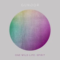 Gungor - One Wild Life: Spirit