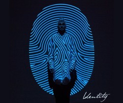 coltondixonidentity