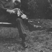 Needtobreathe - The Long Surrender