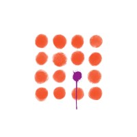 Apollo TLD - Misfits