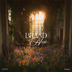 LIN D & CèJae - Brand New