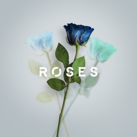 Matthew Parker - Roses