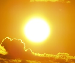 zon