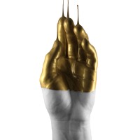 Apollo LTD - Gold