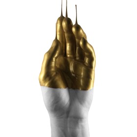 Apollo LTD - Gold