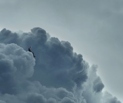 NF Clouds