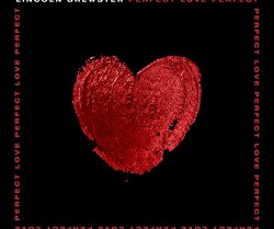 Lincoln Brewster Perfect Love