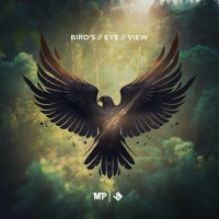 Matthew Parker - Bird's Eye View