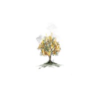 Kurtis Hoppie - I Am