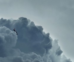 NF - Clouds (Mixtape)