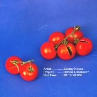 Colony House - Rotten Tomatoes EP
